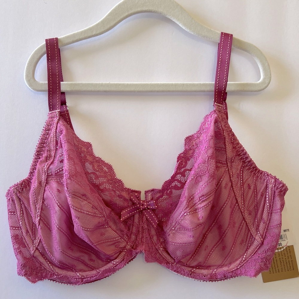 NWT CHANTELLE Pink Rose Underwire Lace Bra 32DD New 32E